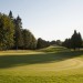 Fairway On Memorial Golf Course